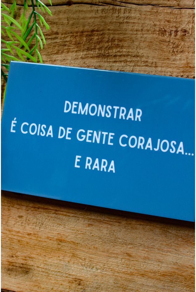 Azulejo Decorativo Demonstrar E Coisa De Gente Corajosa Mimo Galeria